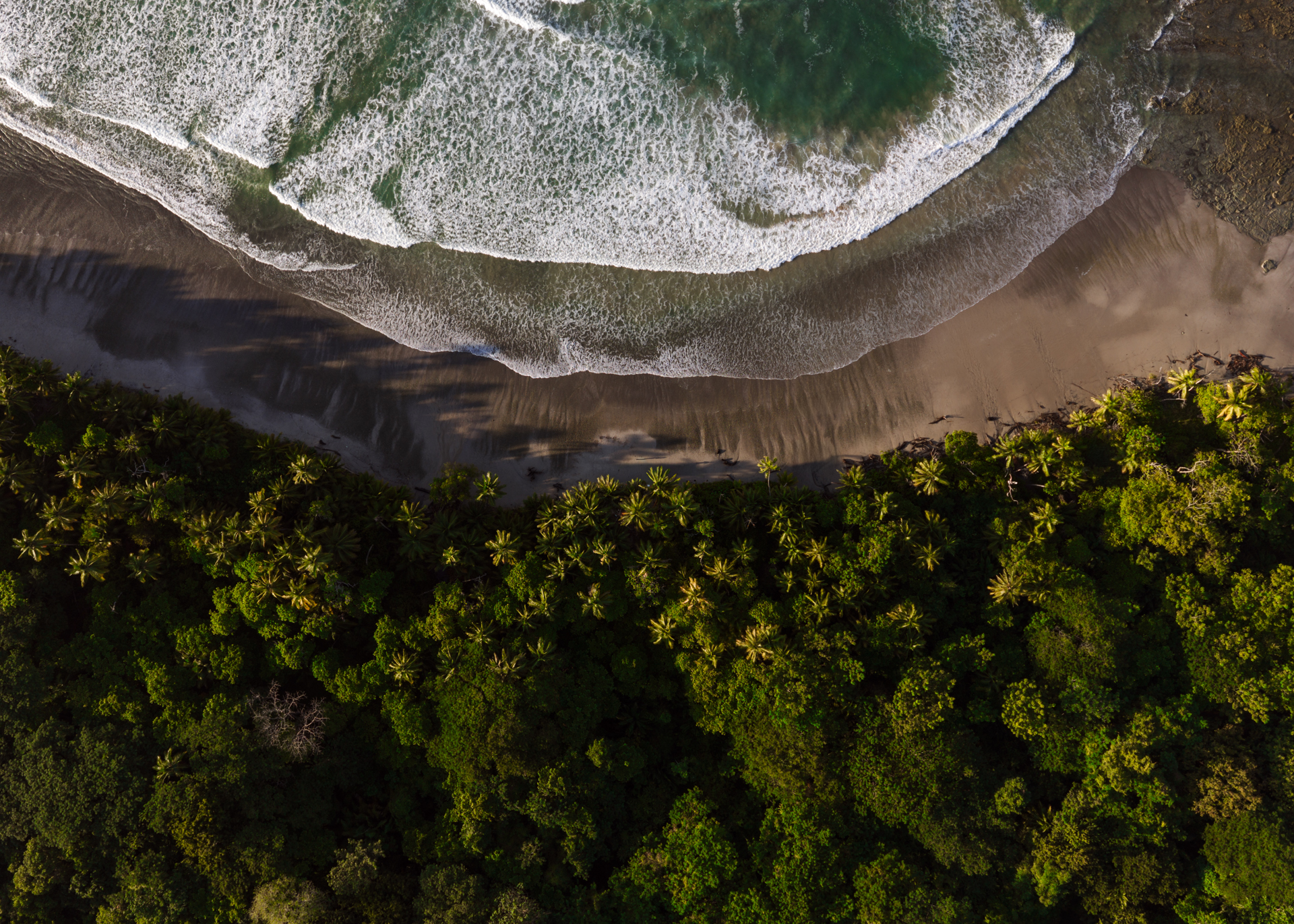 Aerial view of Santa Teresa Costa Rica beach with waves, palm trees, and tropical jungle coastline