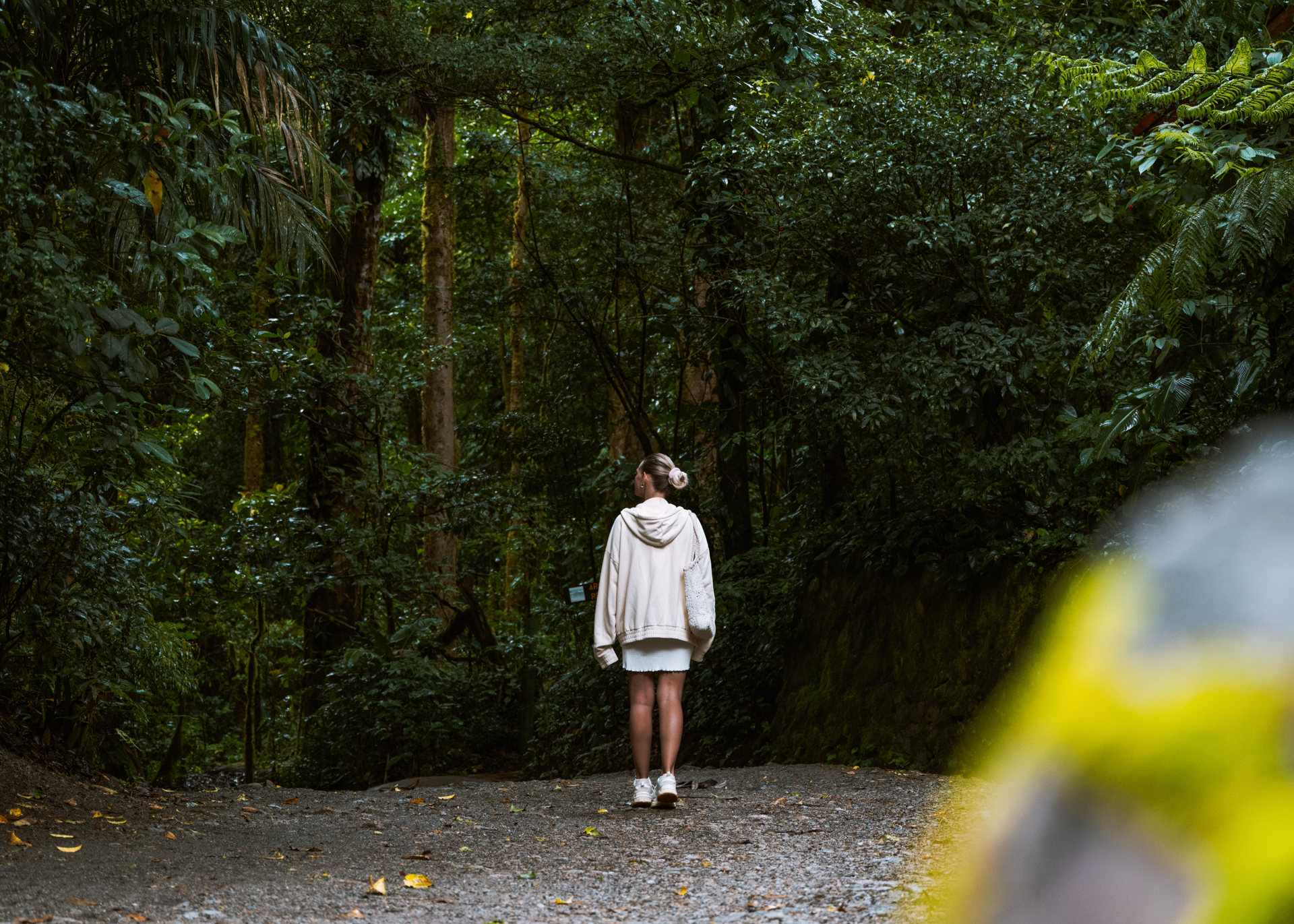 Person walking along a trail in Monteverde Cloud Forest surrounded by dense green jungle