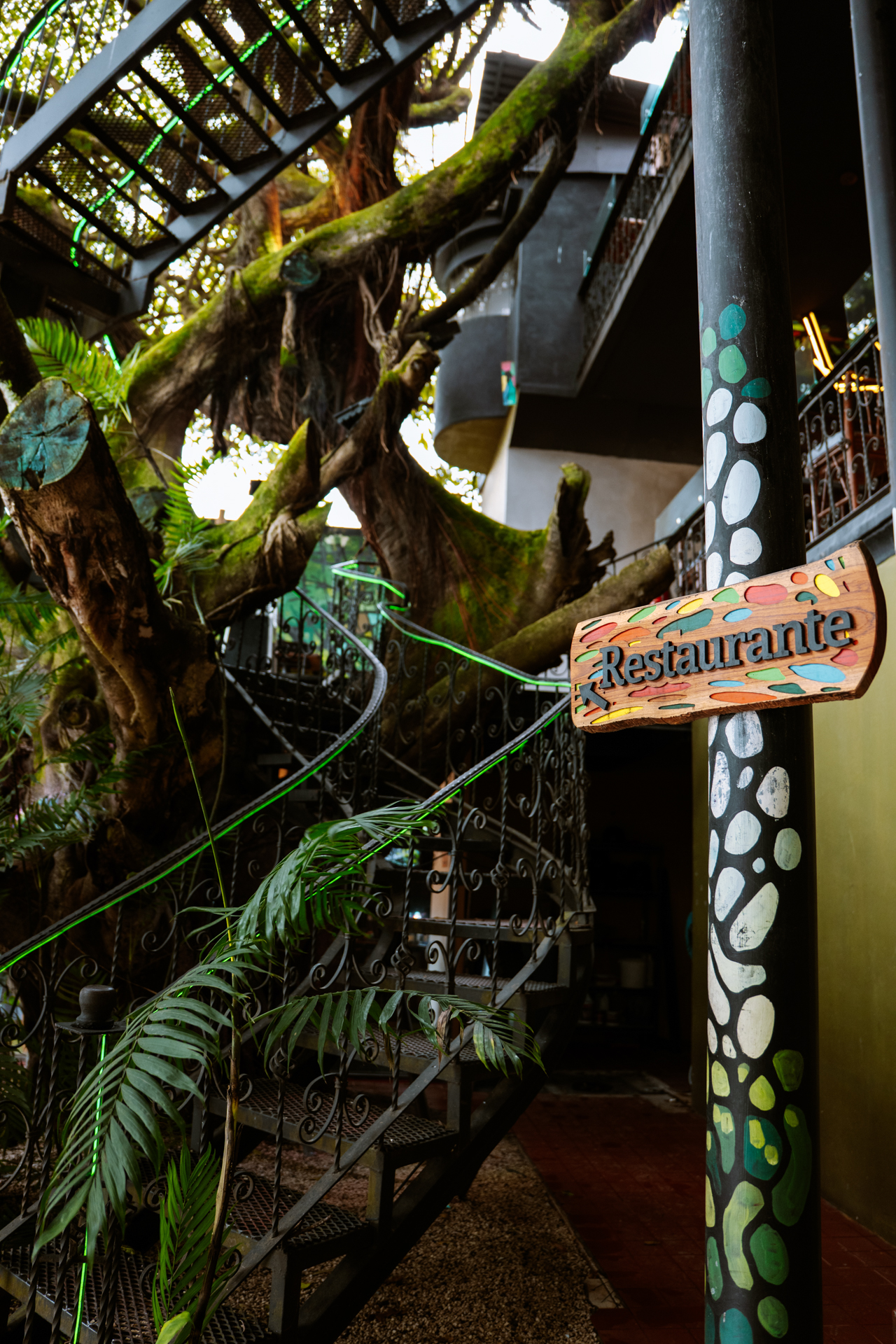 Jungle restaurant with stairs in Monteverde Costa Rica