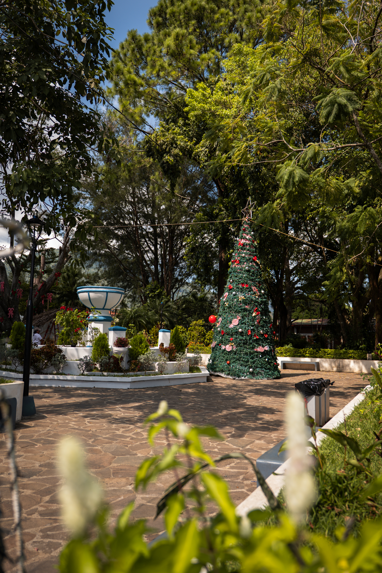 Plaza in Salcoatitán surrounded by lush trees on the Ruta de las Flores in El Salvador