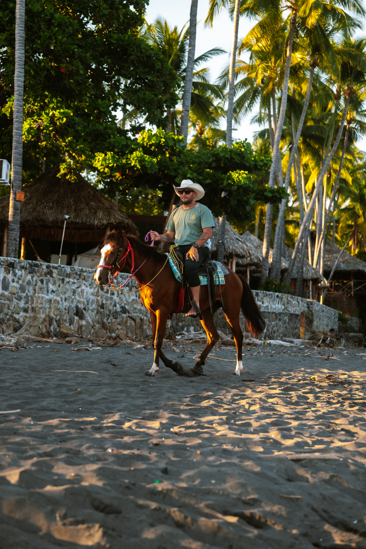 Man riding a horse along a palm-lined beach at golden hour in a tropical village in El Tunco, El Salvador.