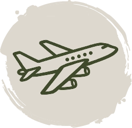Icon plane