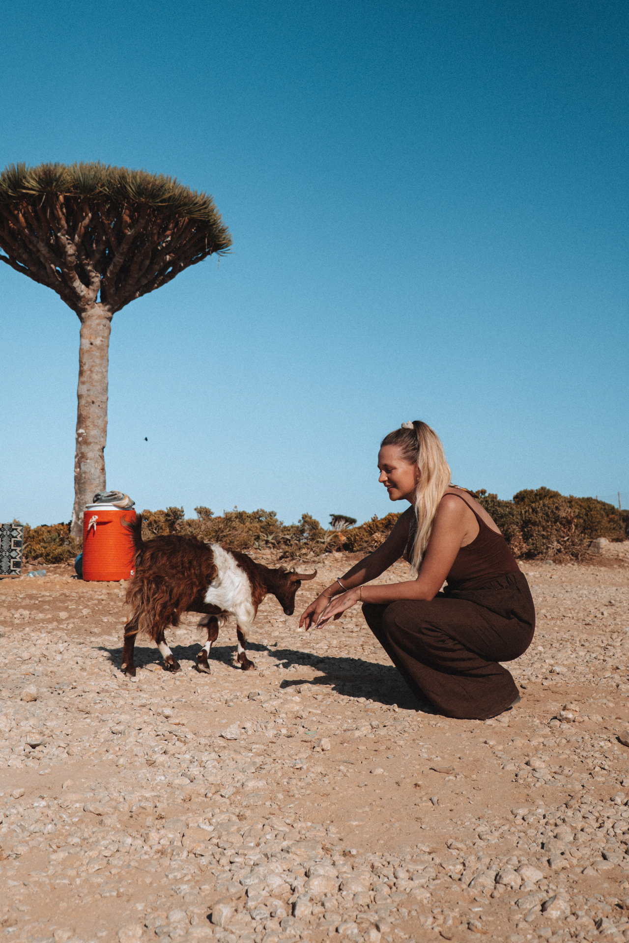 Woman with a goat on Socotra Island