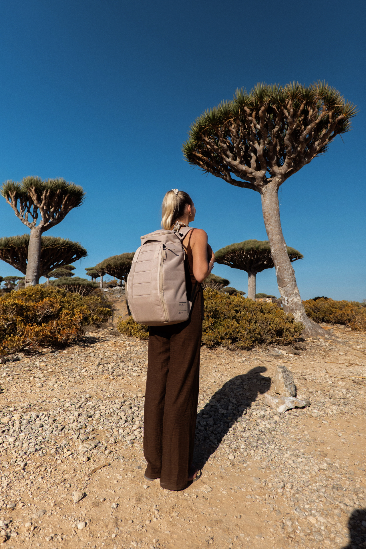 Backpacker on Socotra Island next to Dragonblood Trees