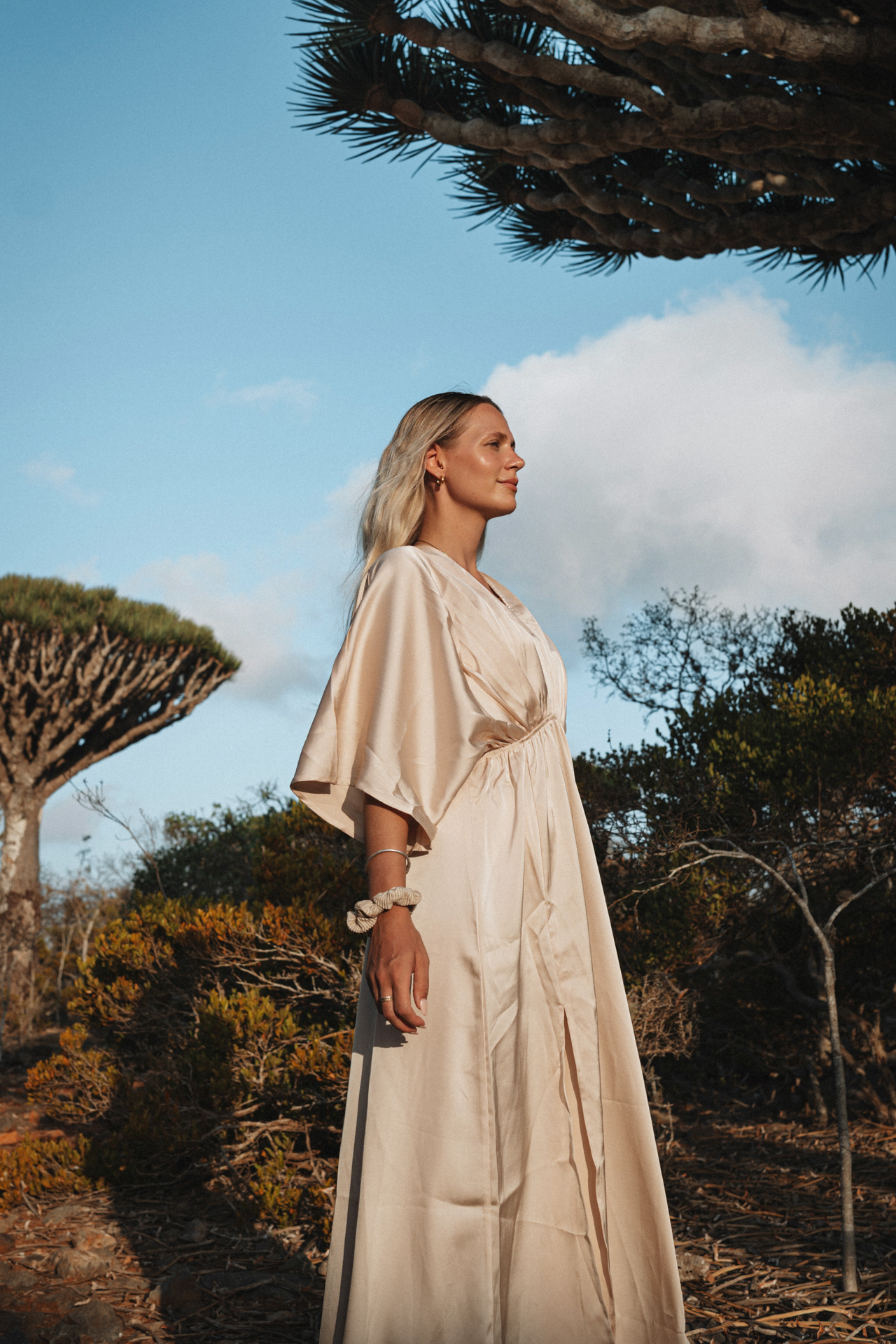 Firmihin Forest on Socotra Island with many Dragonblood Trees