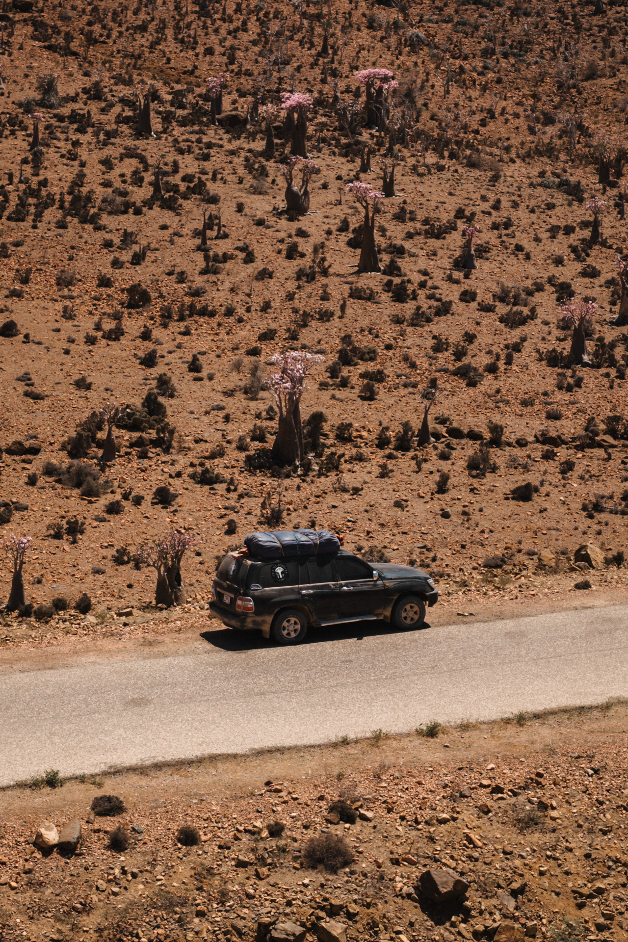 Aerial view of a 4x4 driving on Socotra Island.