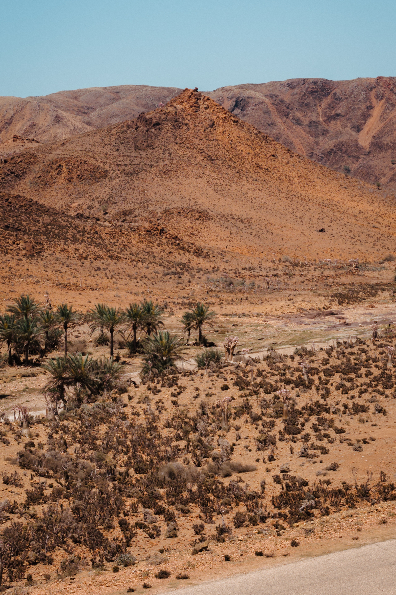 Landscape from above of Socotra Island