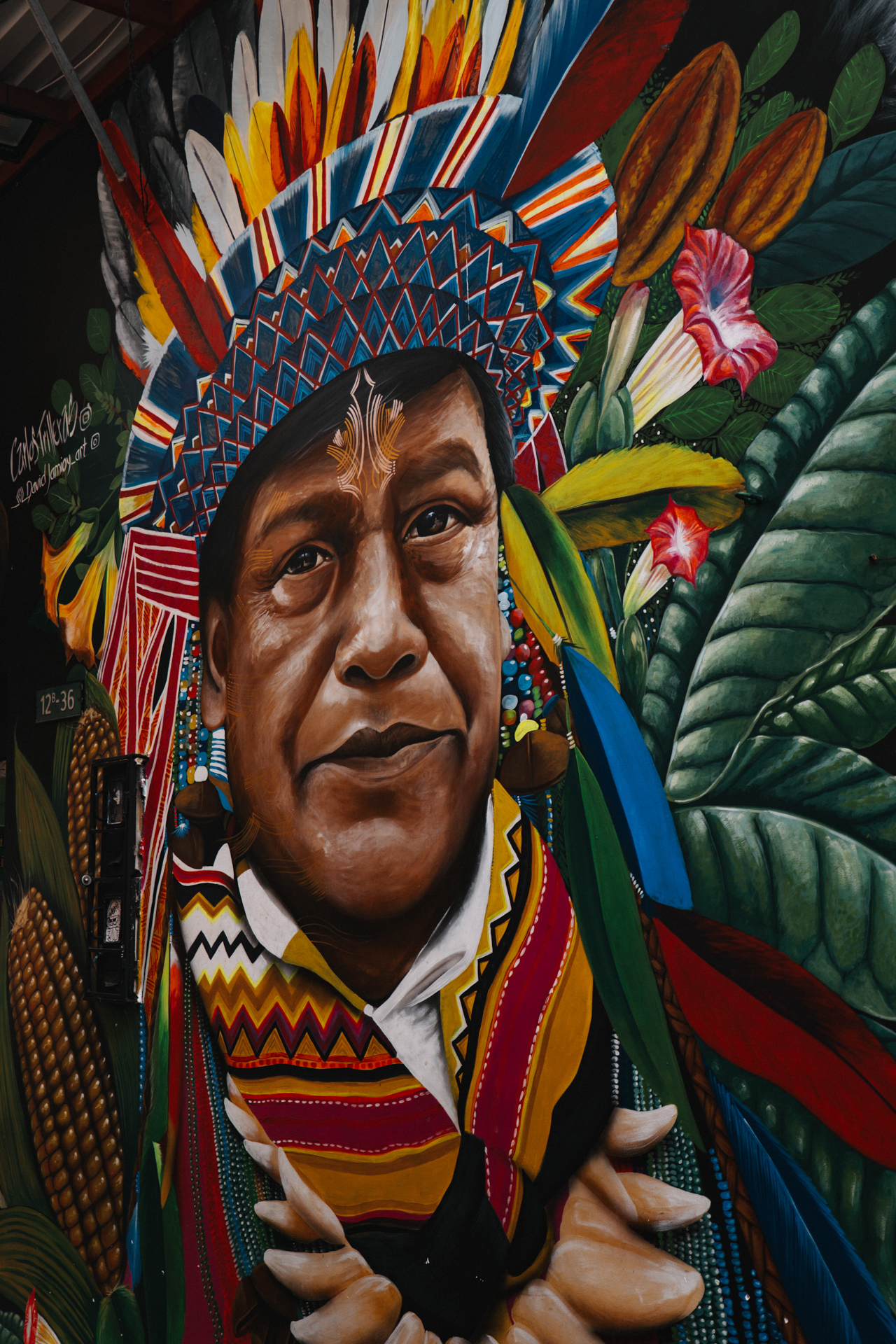 Bogota street art mural with indigenous portrait and vibrant Colombian colors