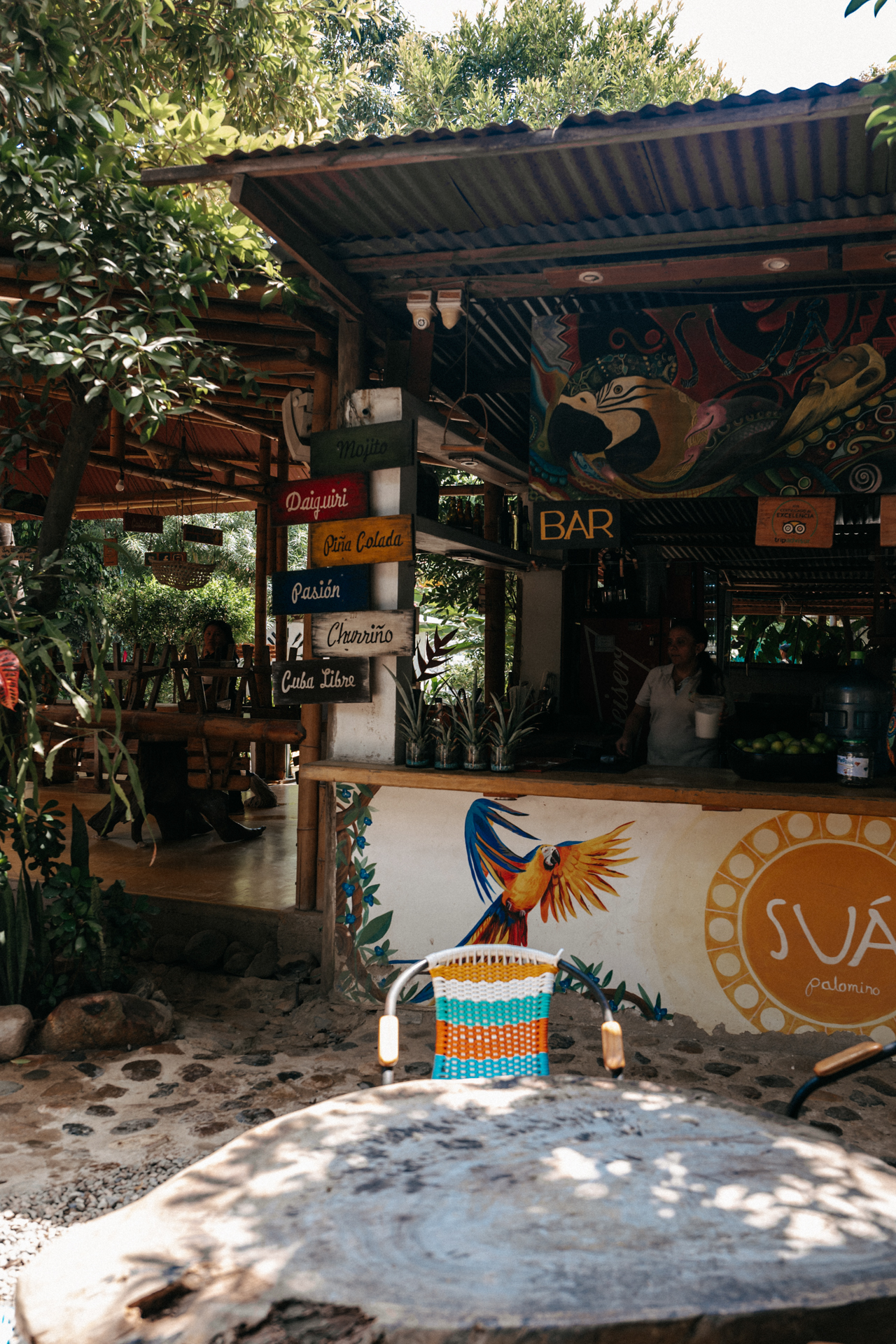 Tropical Palomino beach bar with colorful decor and lush greenery