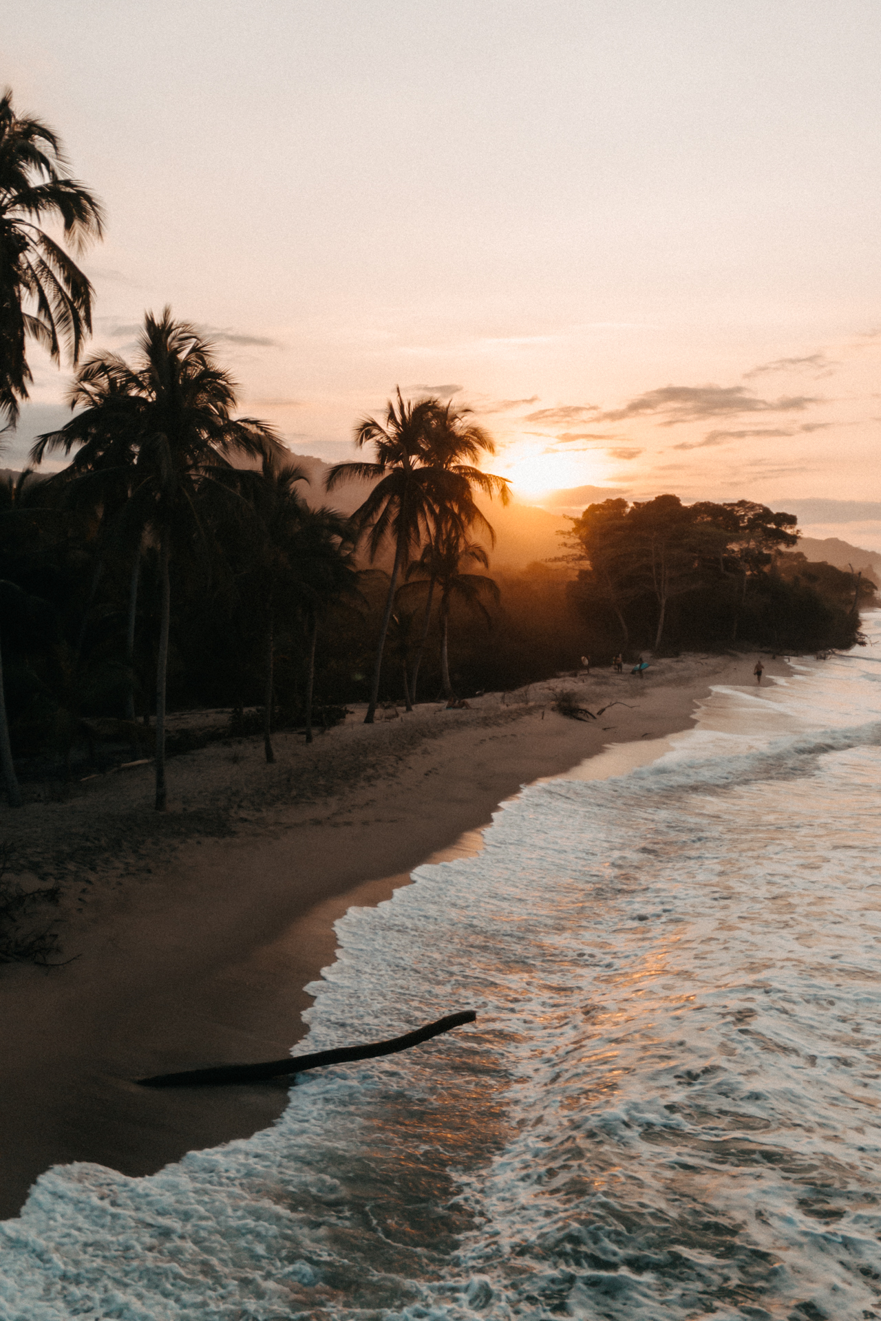 Palomino beach sunset with palm trees and ocean waves