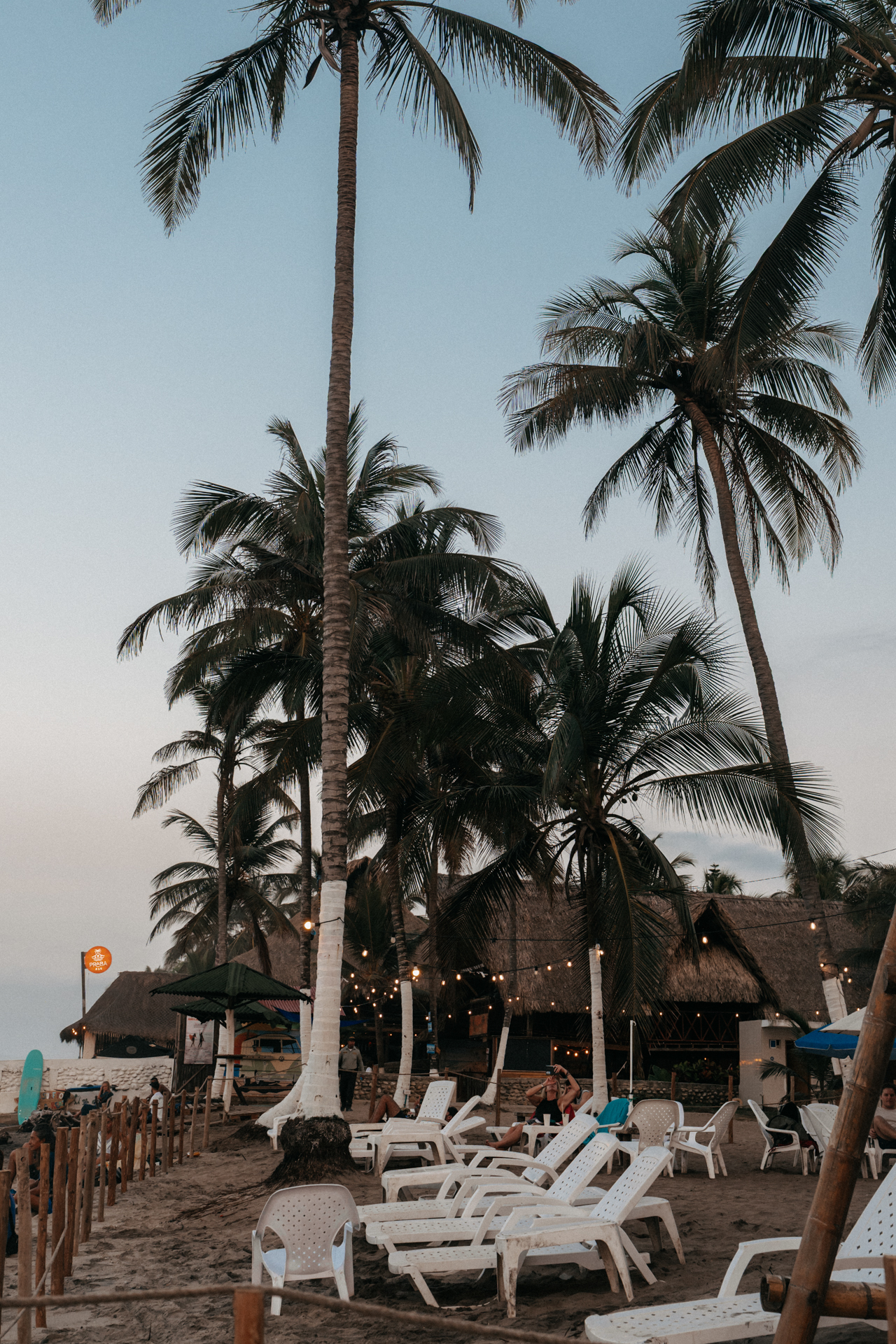 Palomino beach lounge with palm trees, chairs and relaxed vibe