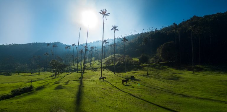 Colombia Travel Guide
