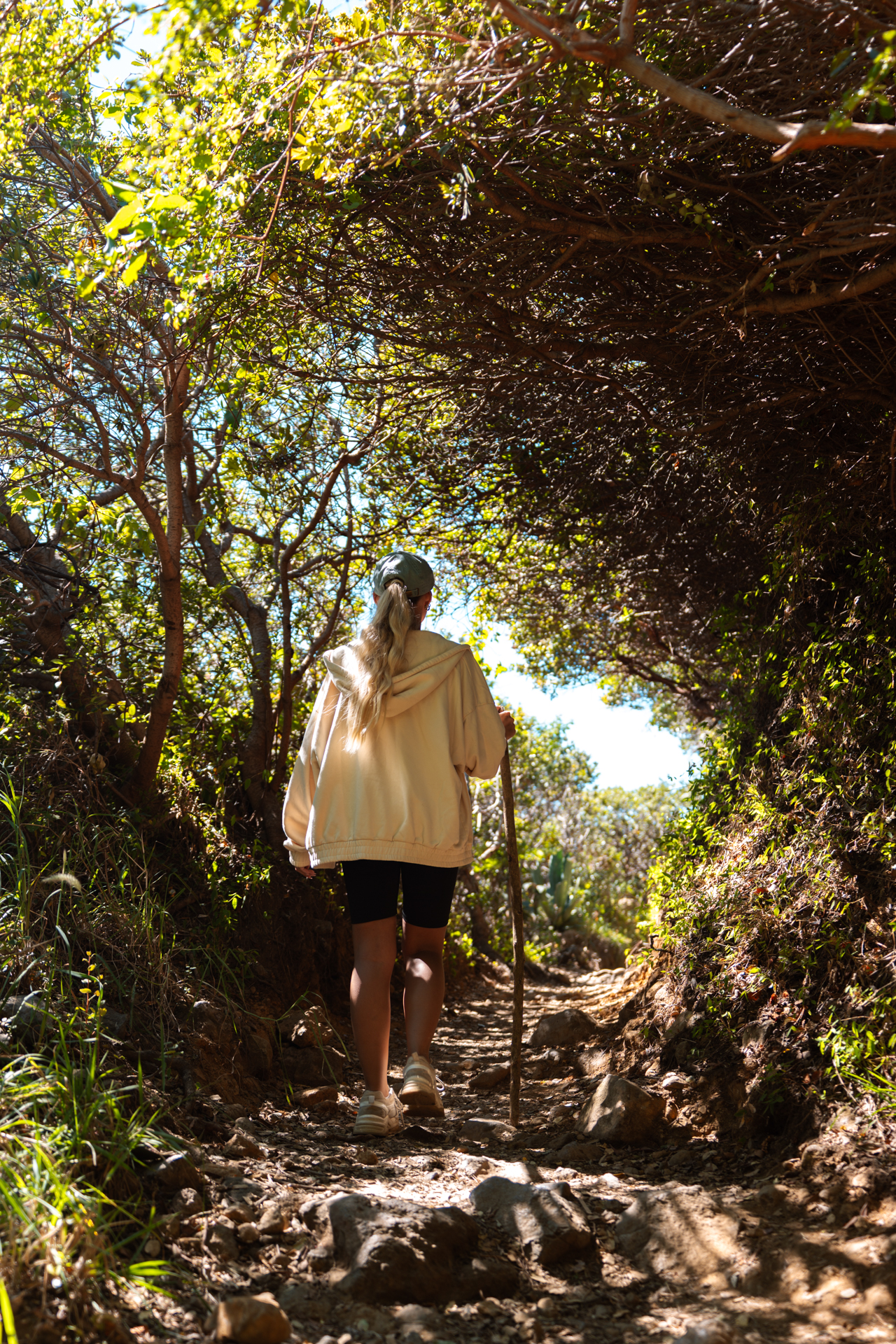 Santa Ana Volcano Hike in the morning