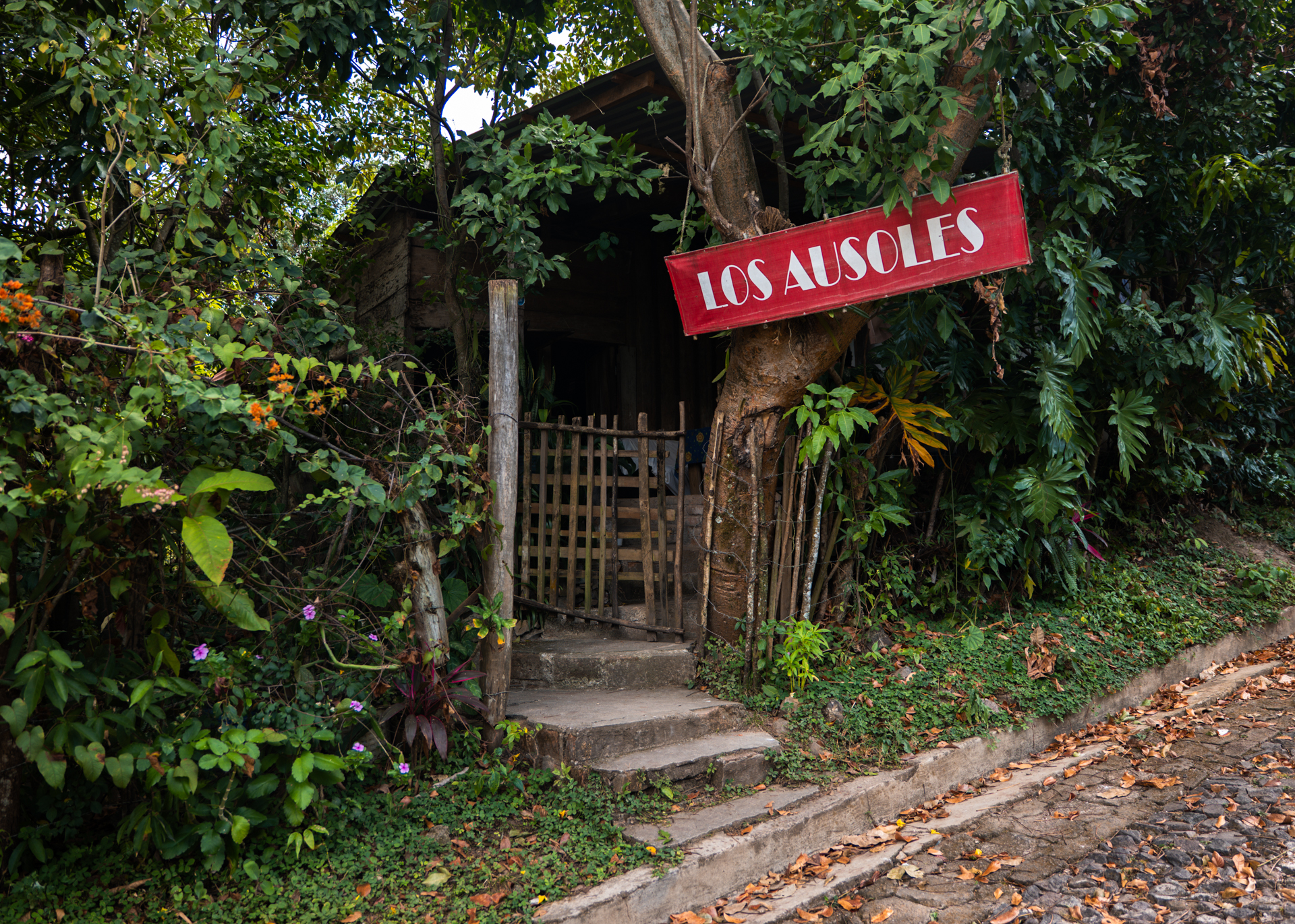 Los Ausoles: Geothermal Springs