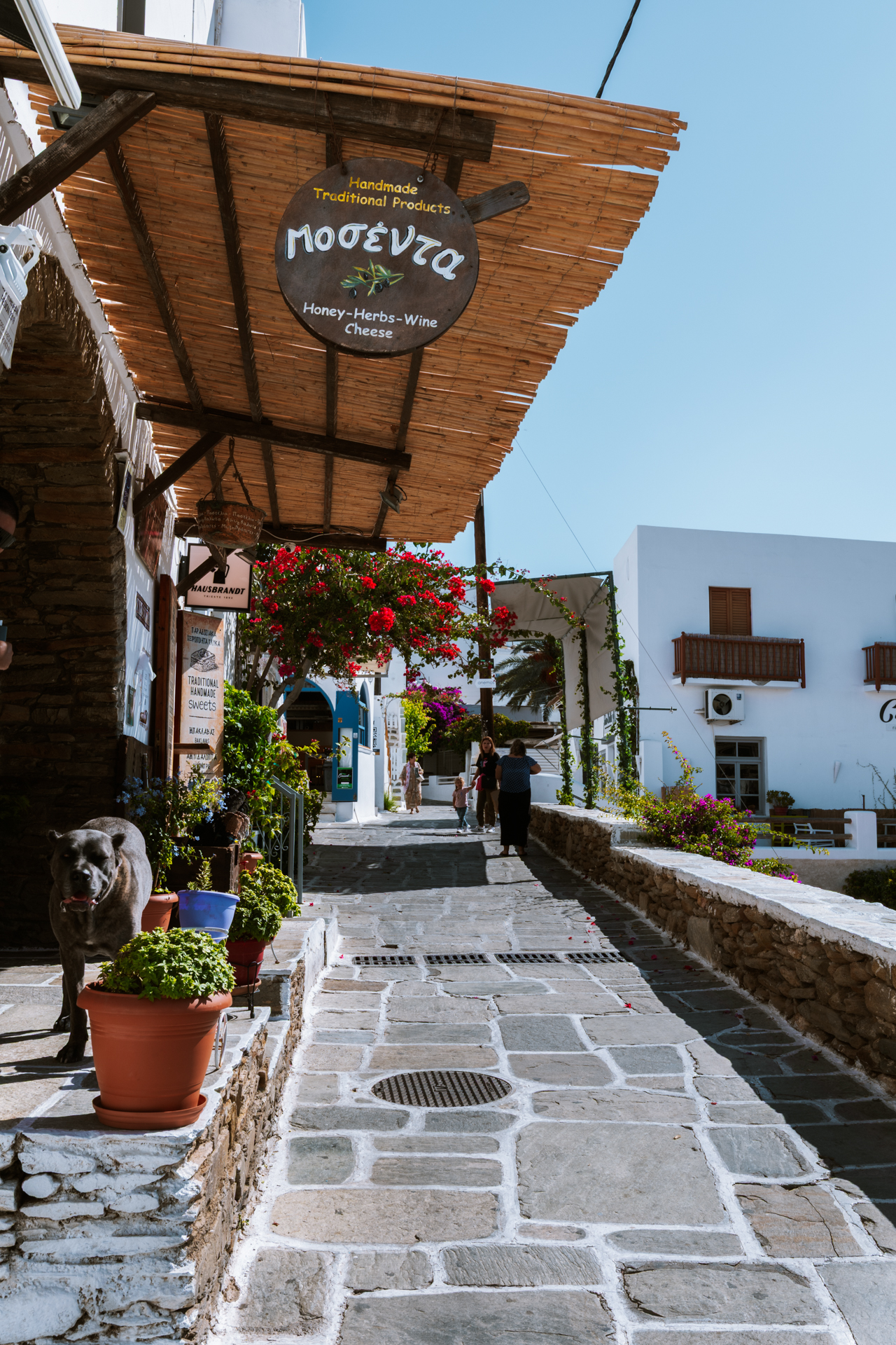 Charming street in Chora, Ios with traditional shop, flowers, and stone path
