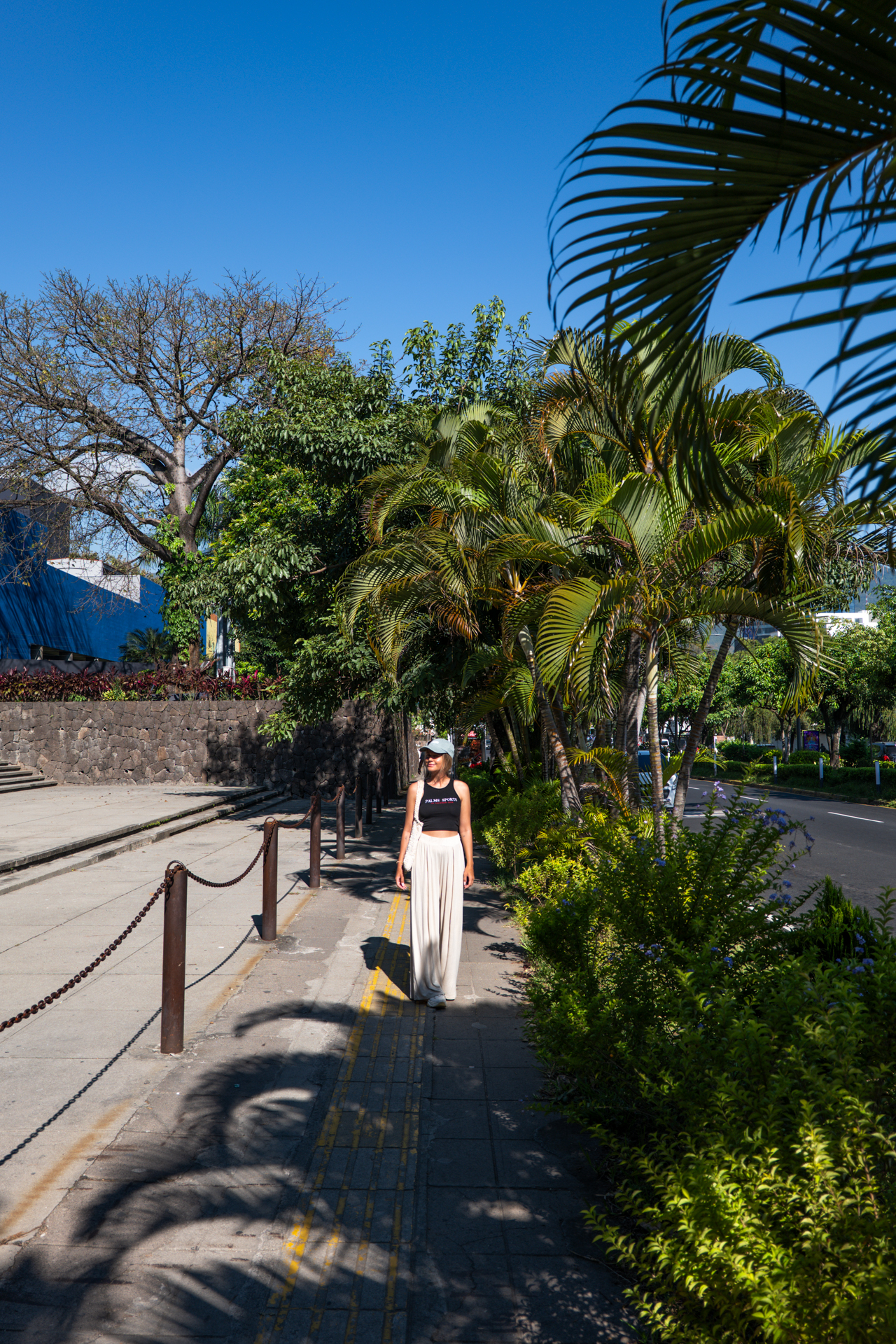 Woman walking along palm-lined sidewalk in San Salvador on a sunny day