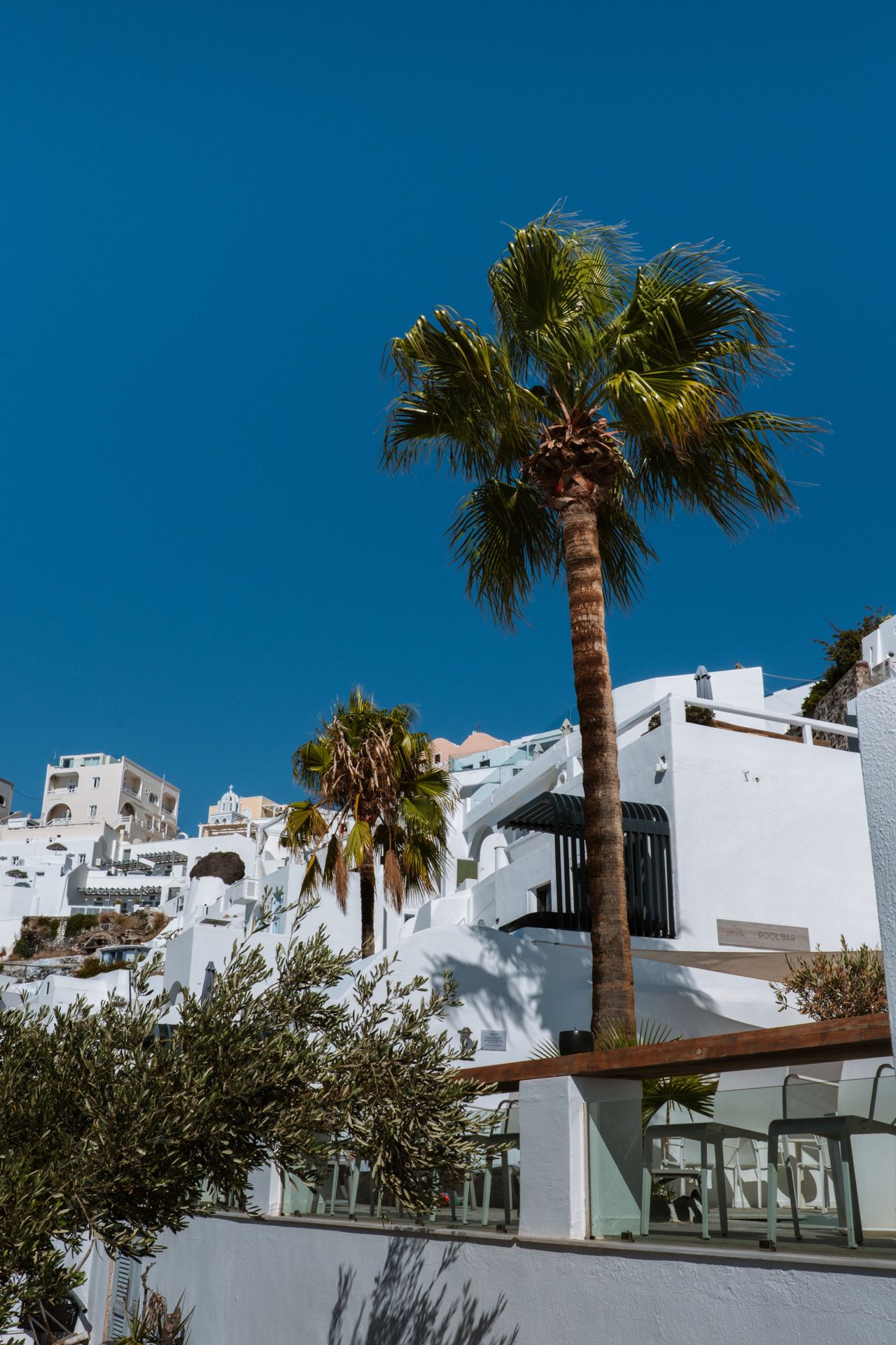 Imerovigli Santorini with white houses, palm trees and clear blue sky