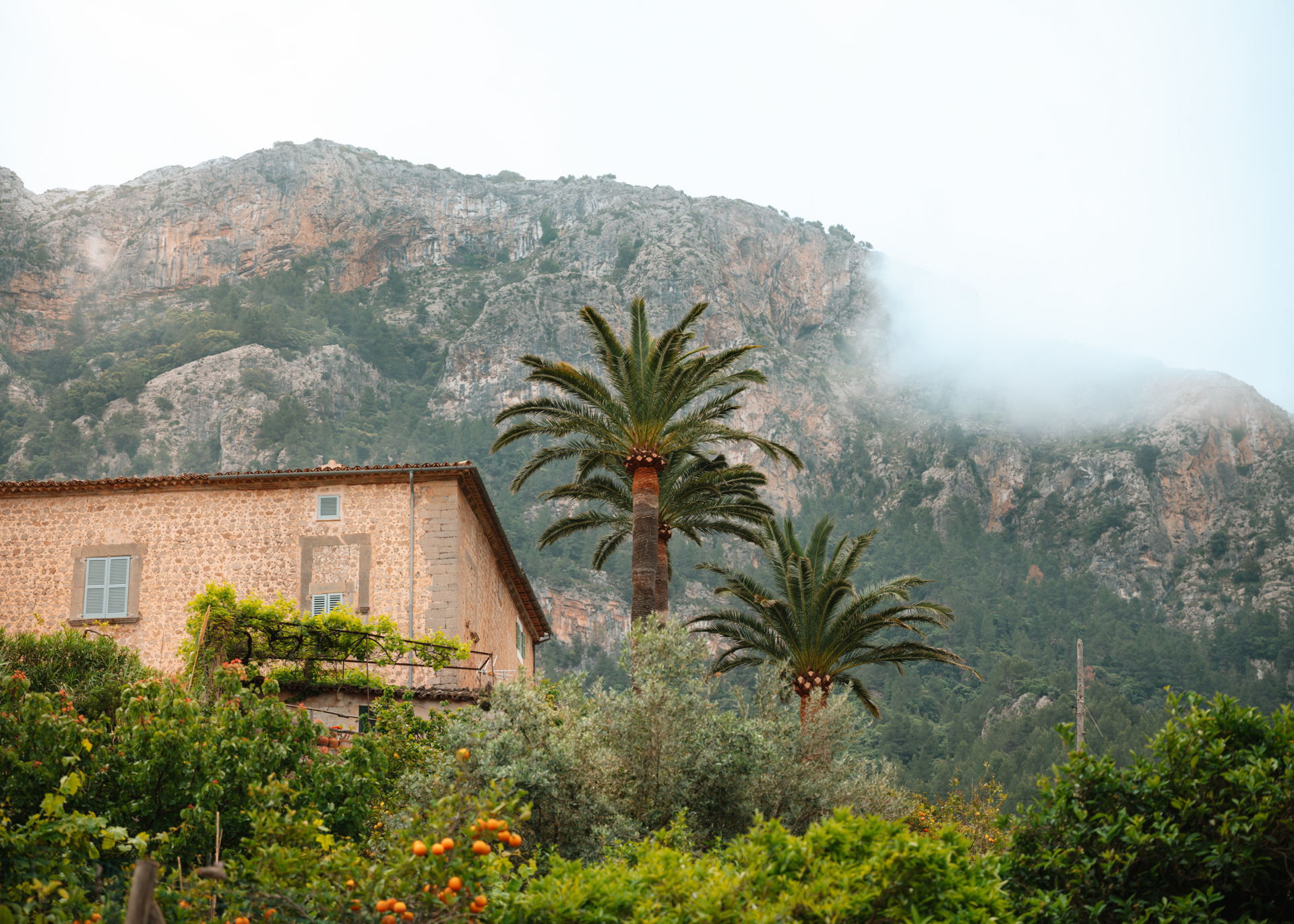 Stone house and palm trees in Deià village beneath Tramuntana mountains, Mallorca