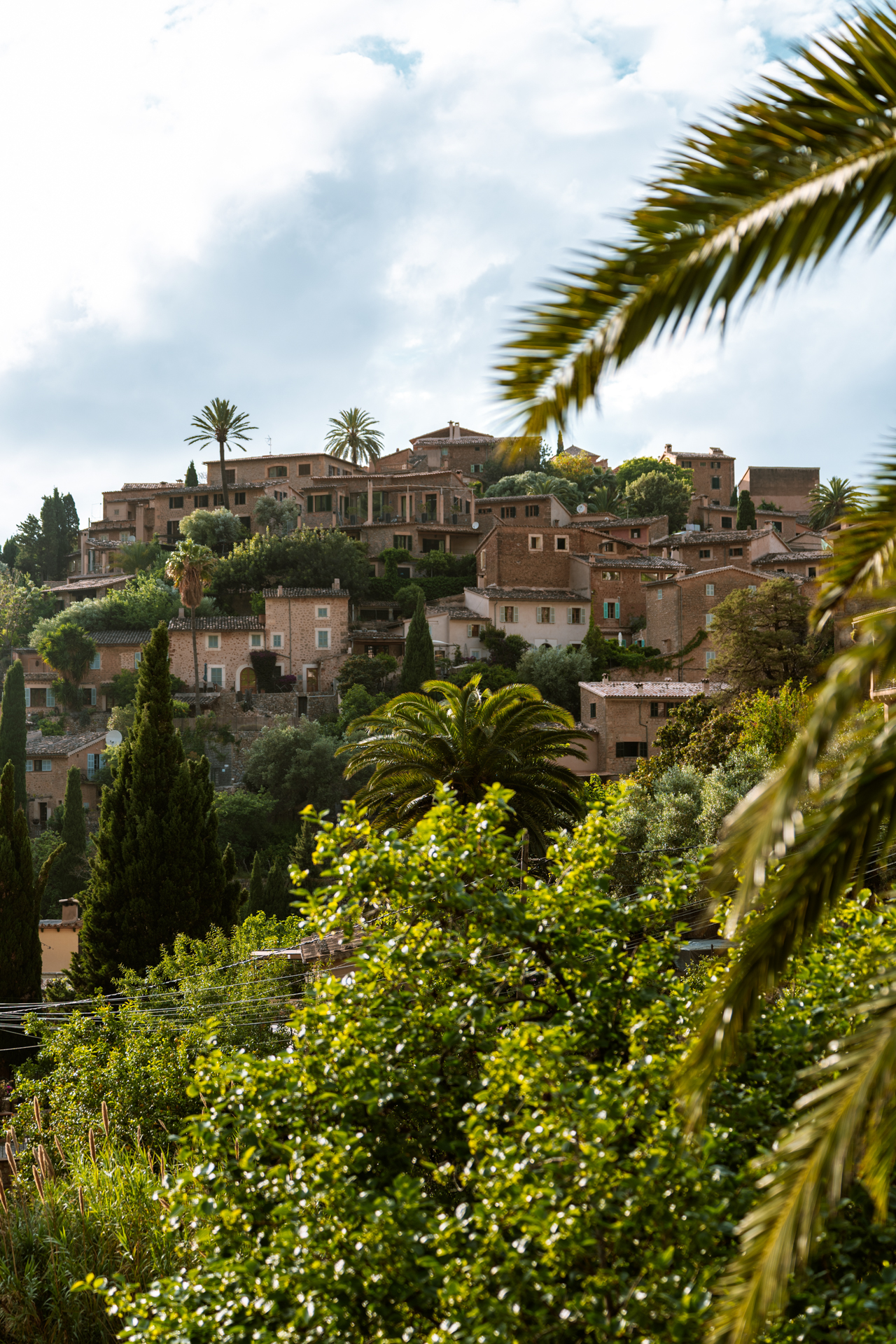 Panoramic view of Deià village surrounded by palm trees and lush greenery in Mallorca, Spain