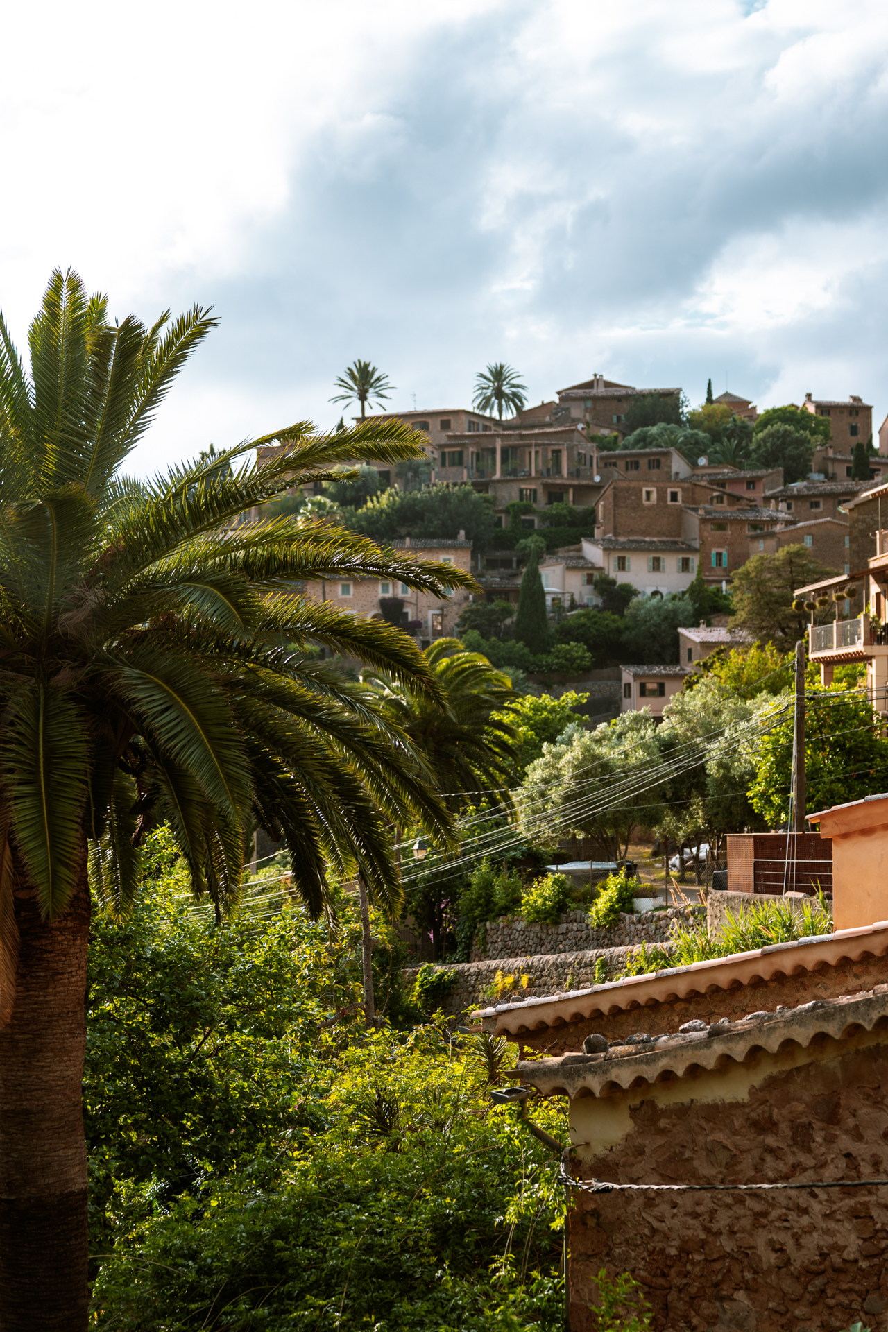 Palm trees and stone houses in Deià village, Mallorca, Spain