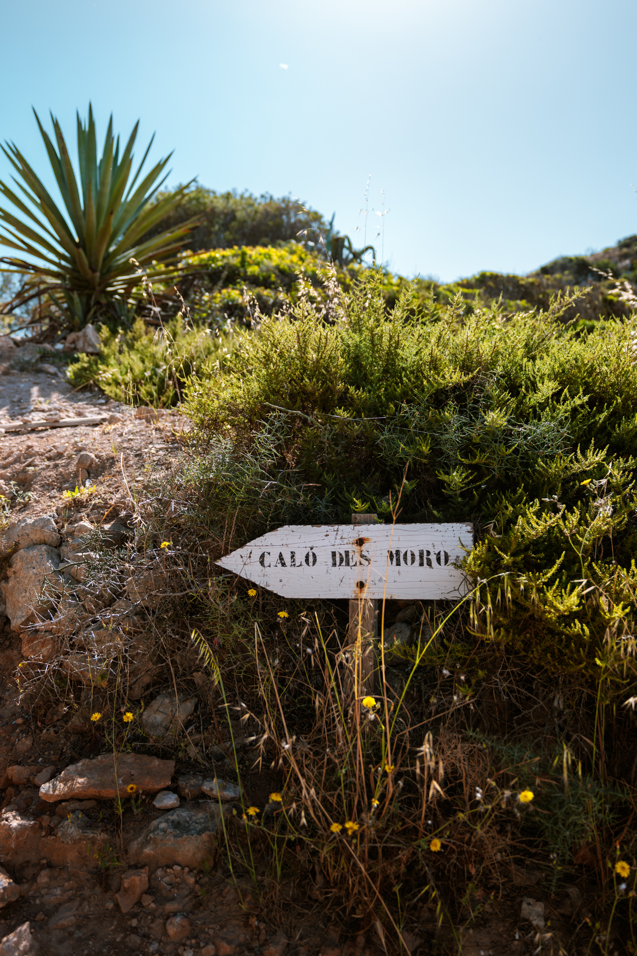 Following the path to Caló des Moro