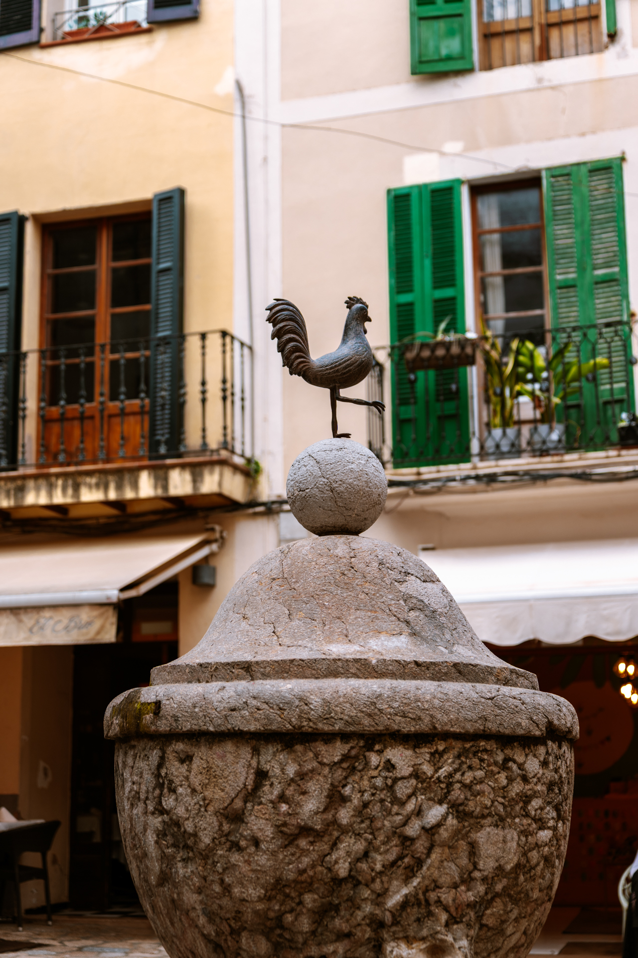 7 Best Things to do in Pollenca, Mallorca
