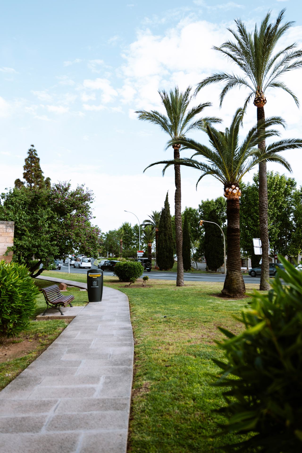 Palm-lined walkway near Alcúdia Old Town in Mallorca.