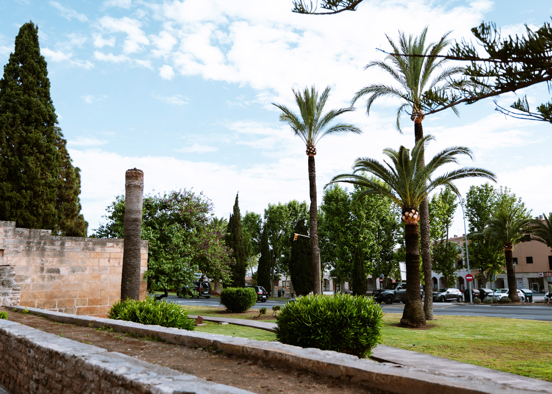 Palm trees and greenery beside the medieval walls of Alcúdia Old Town, Mallorca.