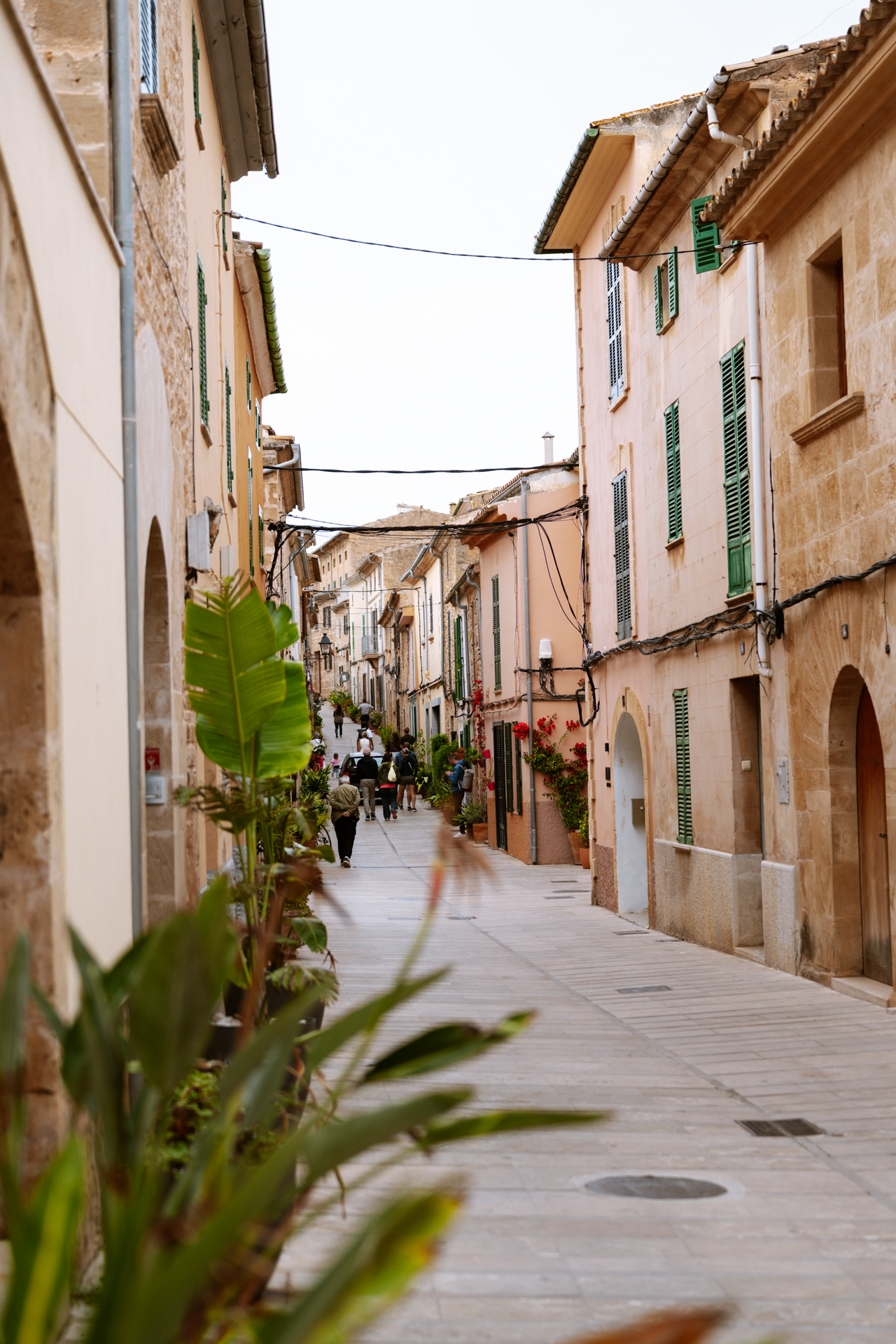 Charming narrow street with stone houses and green shutters in Alcúdia Old Town, Mallorca.