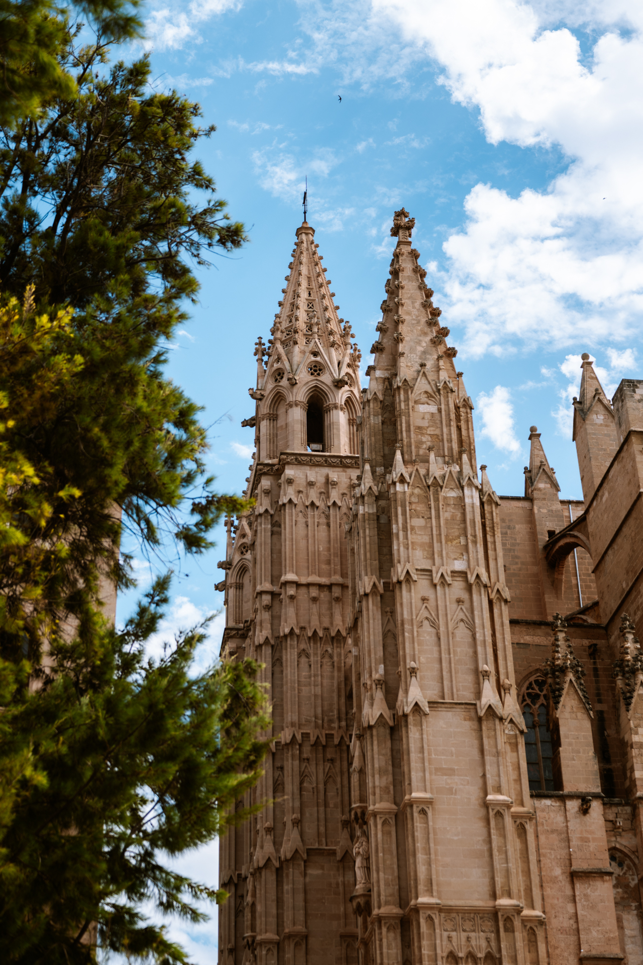 Gothic towers of Palma Cathedral rising above the trees in Mallorca, Spain.