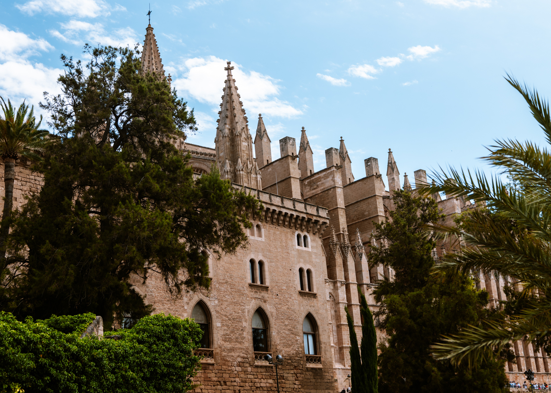 Palma Cathedral rising above palm trees and historic architecture in Mallorca, Spain.