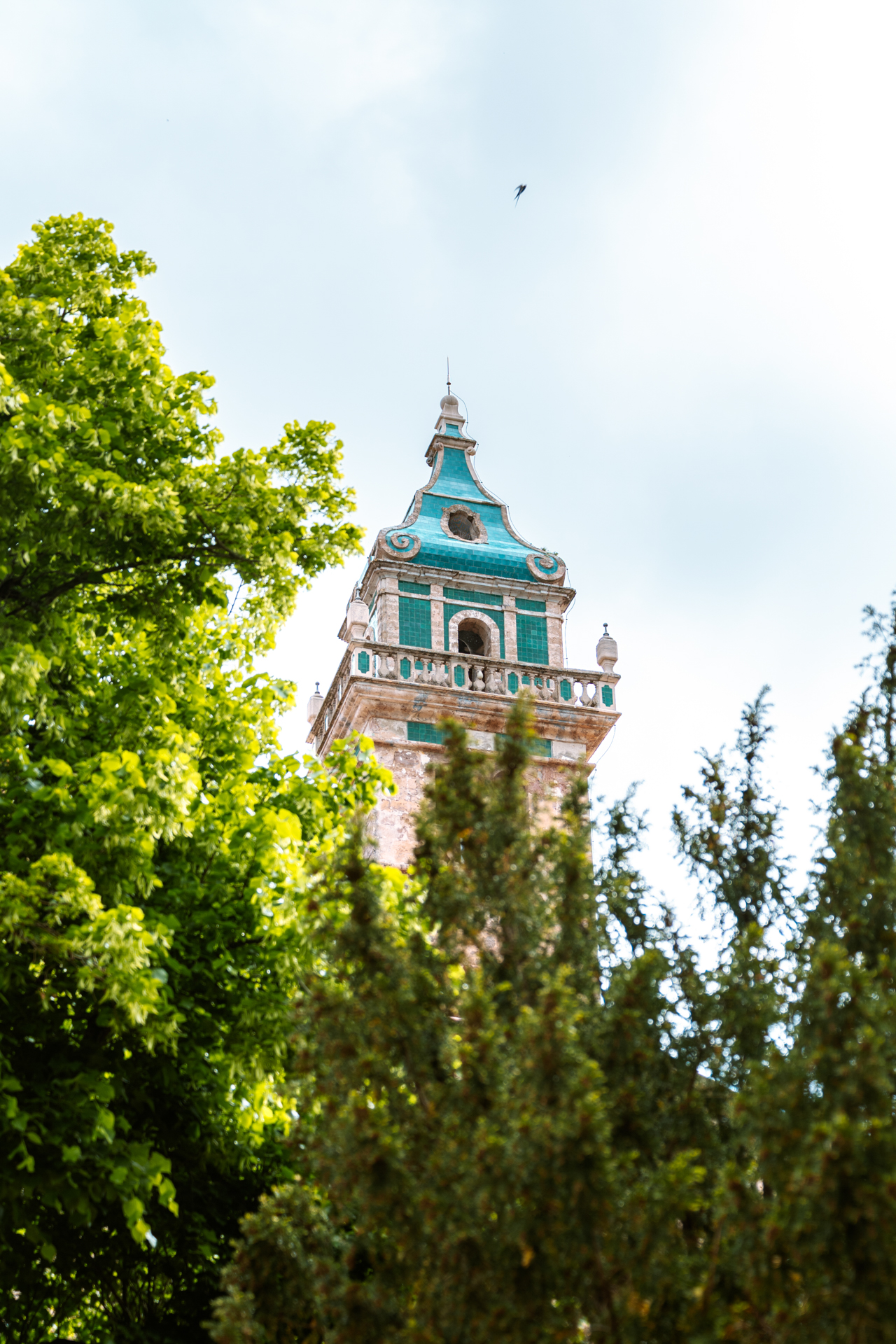 Bell tower of Cartoixa de Valldemossa surrounded by lush gardens