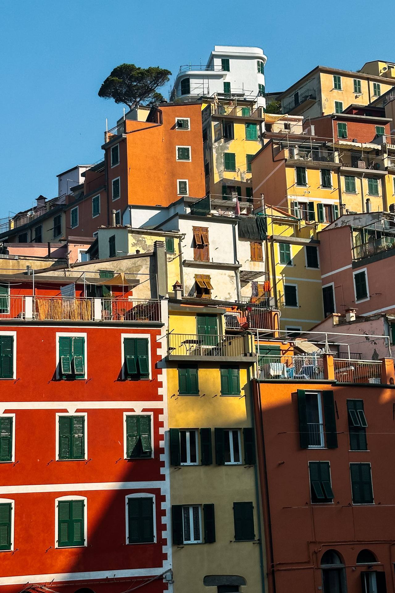 Colorful houses in Riomaggiore, Cinque Terre, Italy