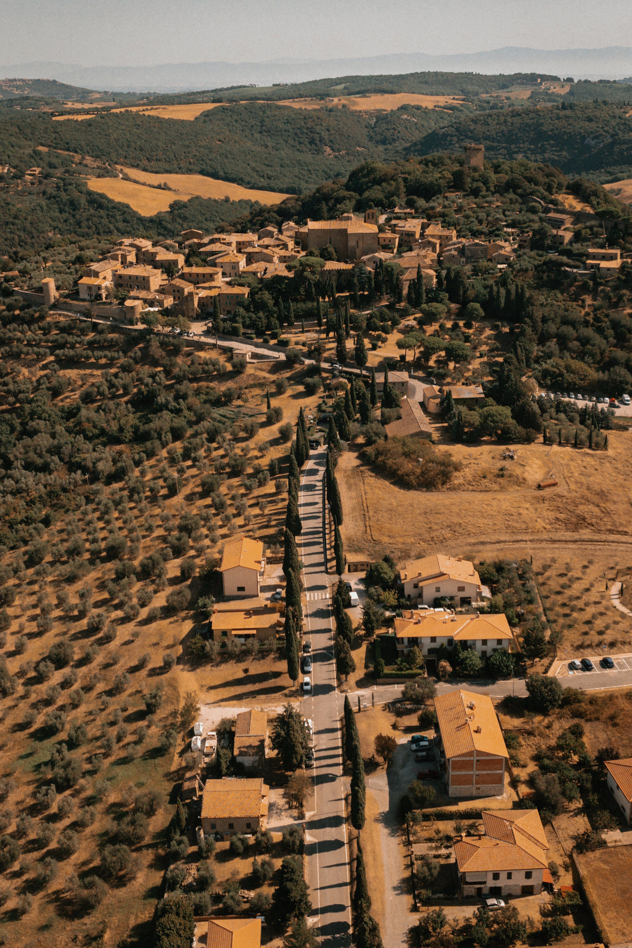 Aerial view of a cypress-lined road leading to a Tuscan village
