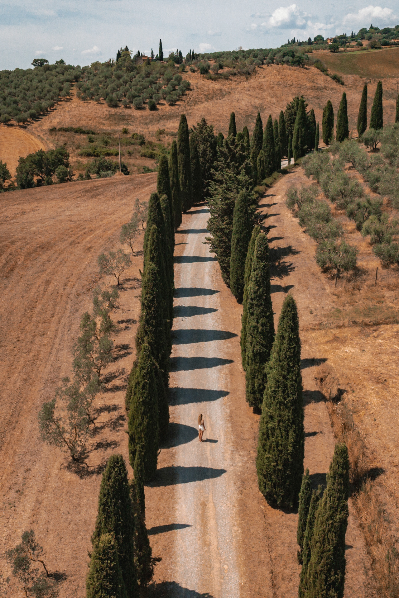 Aerial view of a cypress-lined road in the Tuscan countryside