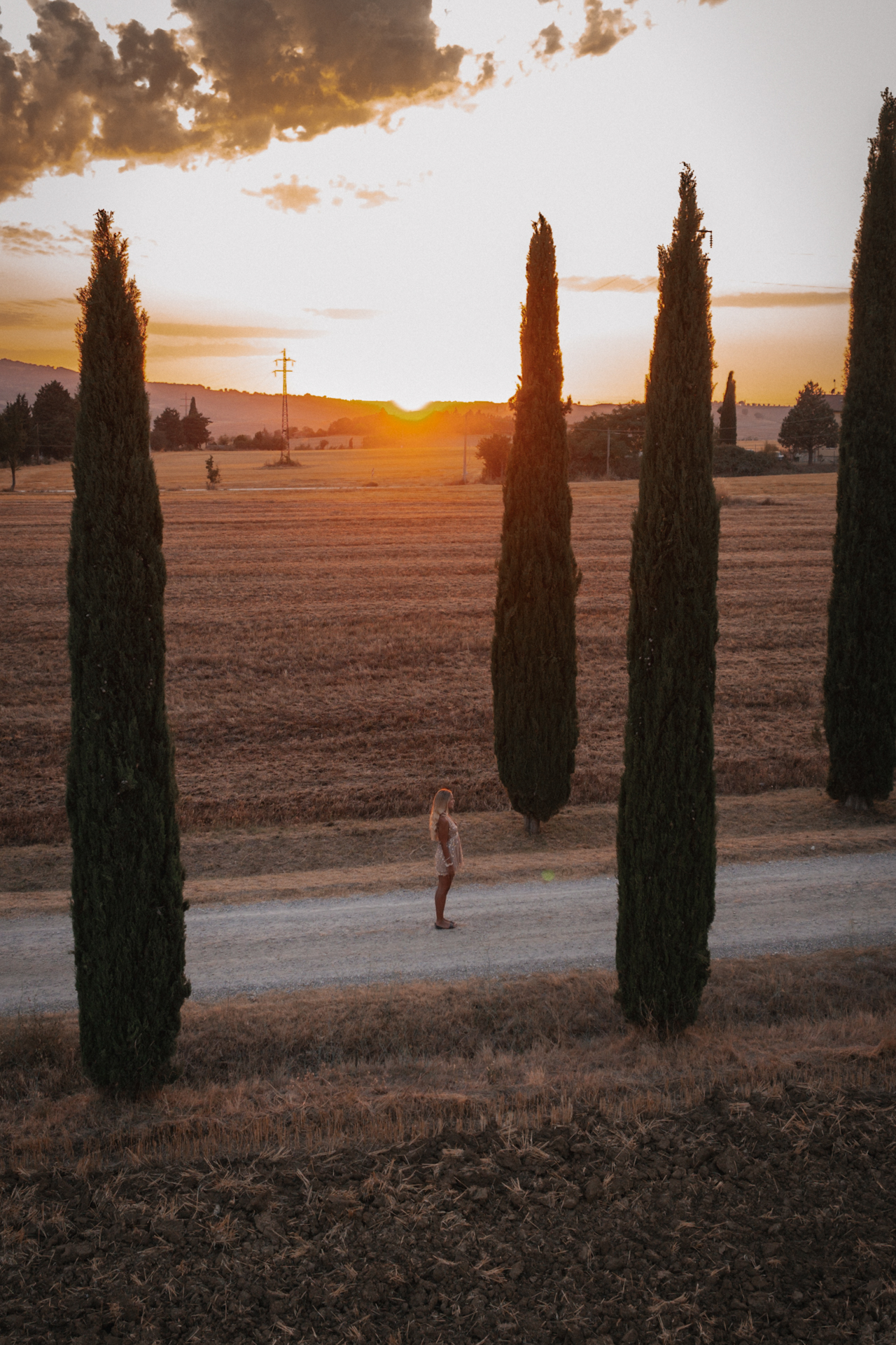 Cypress trees at sunset in the Tuscany countryside