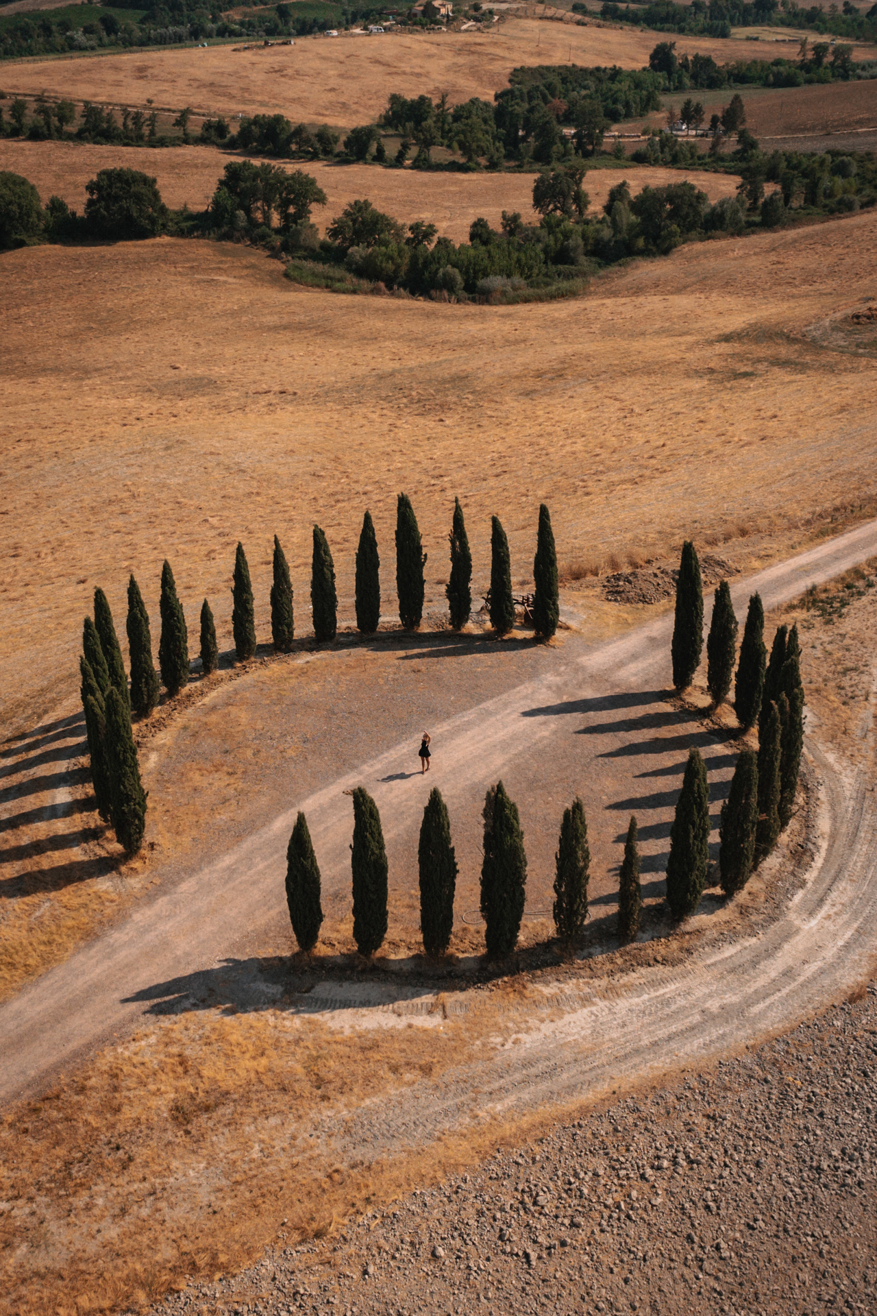 Aerial view of a circular cypress grove in Tuscany