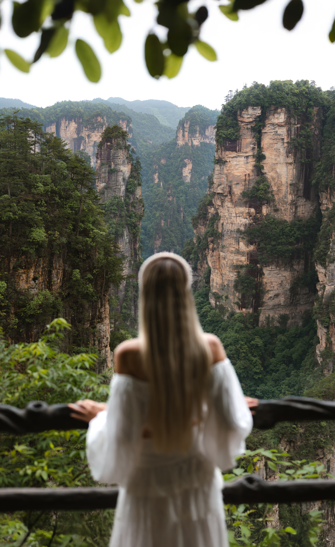 Zhangjiajie National Forest Part