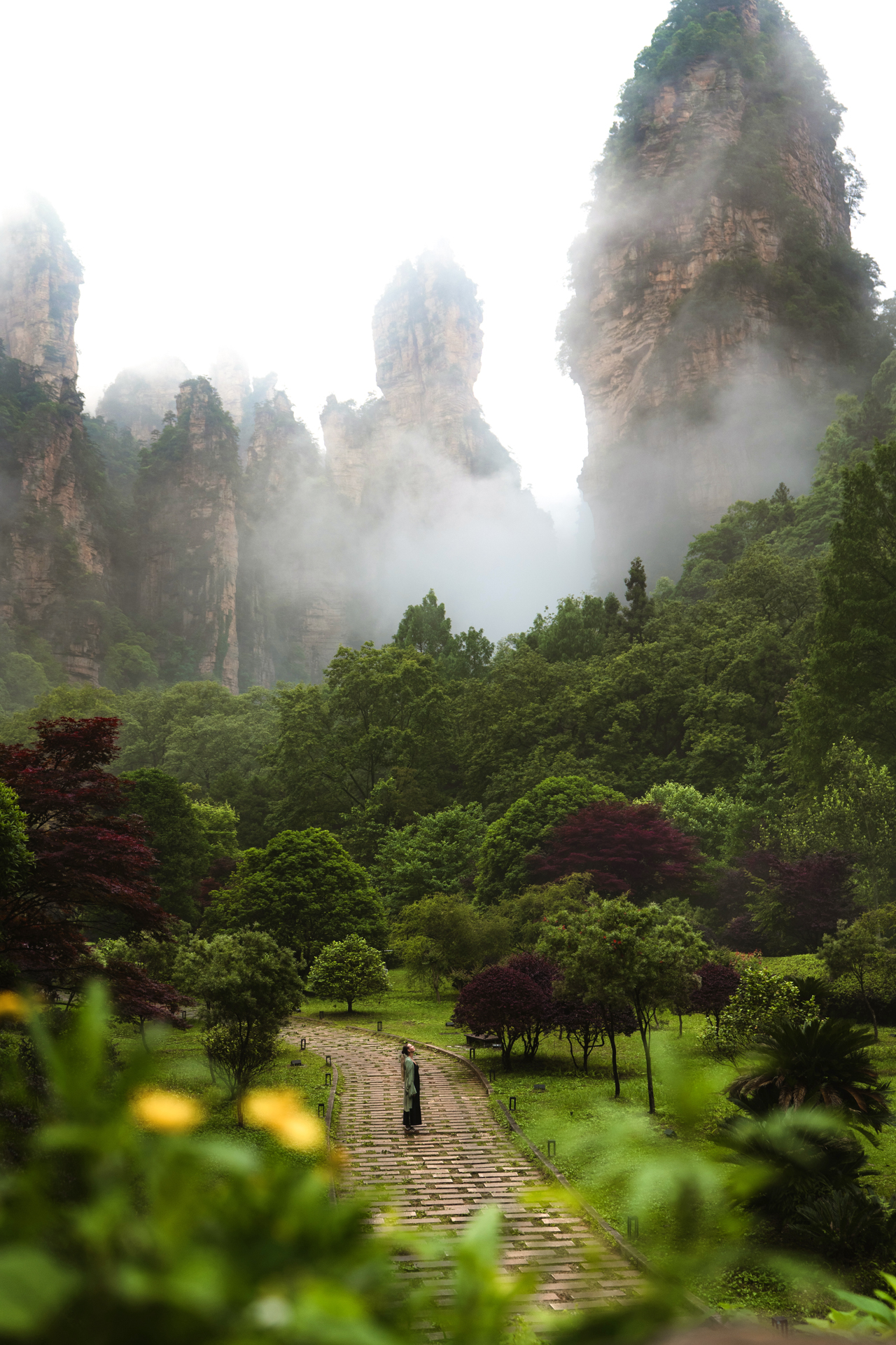Misty sandstone pillars rising above a lush valley in Zhangjiajie National Forest Park.