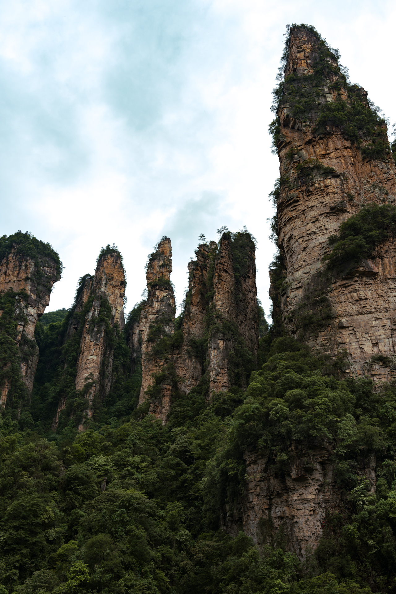 Towering sandstone pillars covered in lush greenery in Zhangjiajie National Forest Park, China.