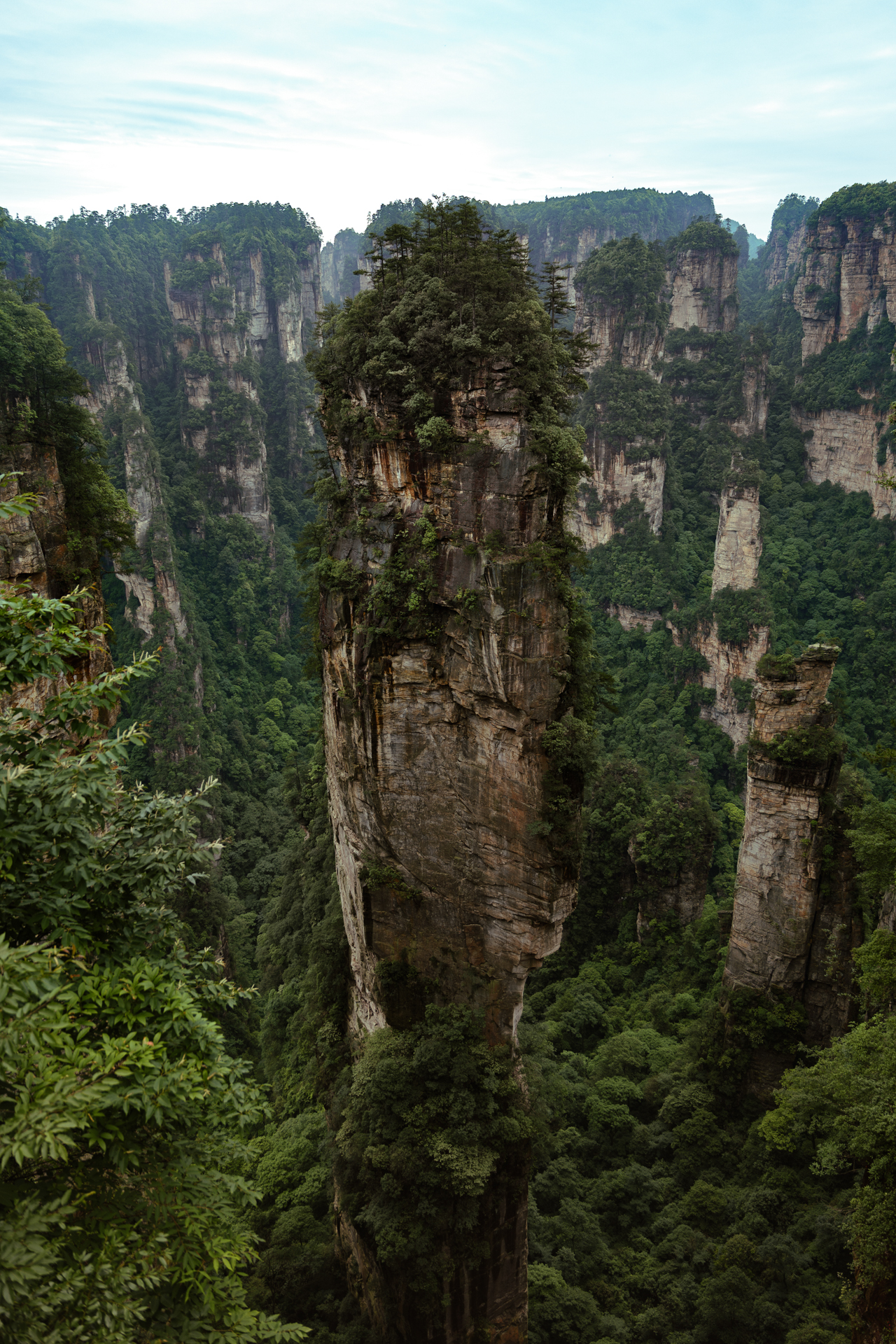 Iconic sandstone pillar rising above the forest in Zhangjiajie National Forest Park, China.