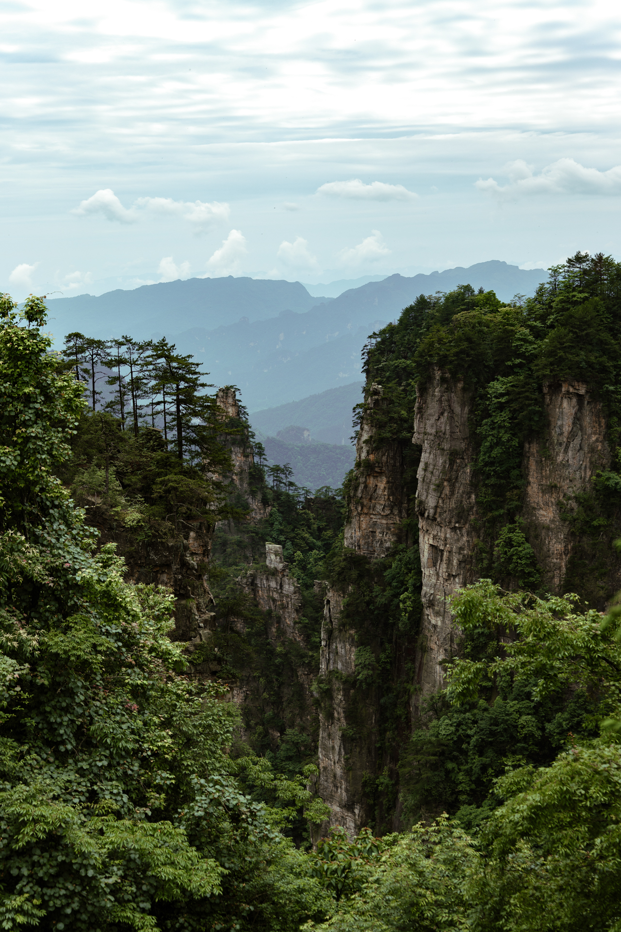 Mountain cliffs and lush valleys in Zhangjiajie National Forest Park, China.