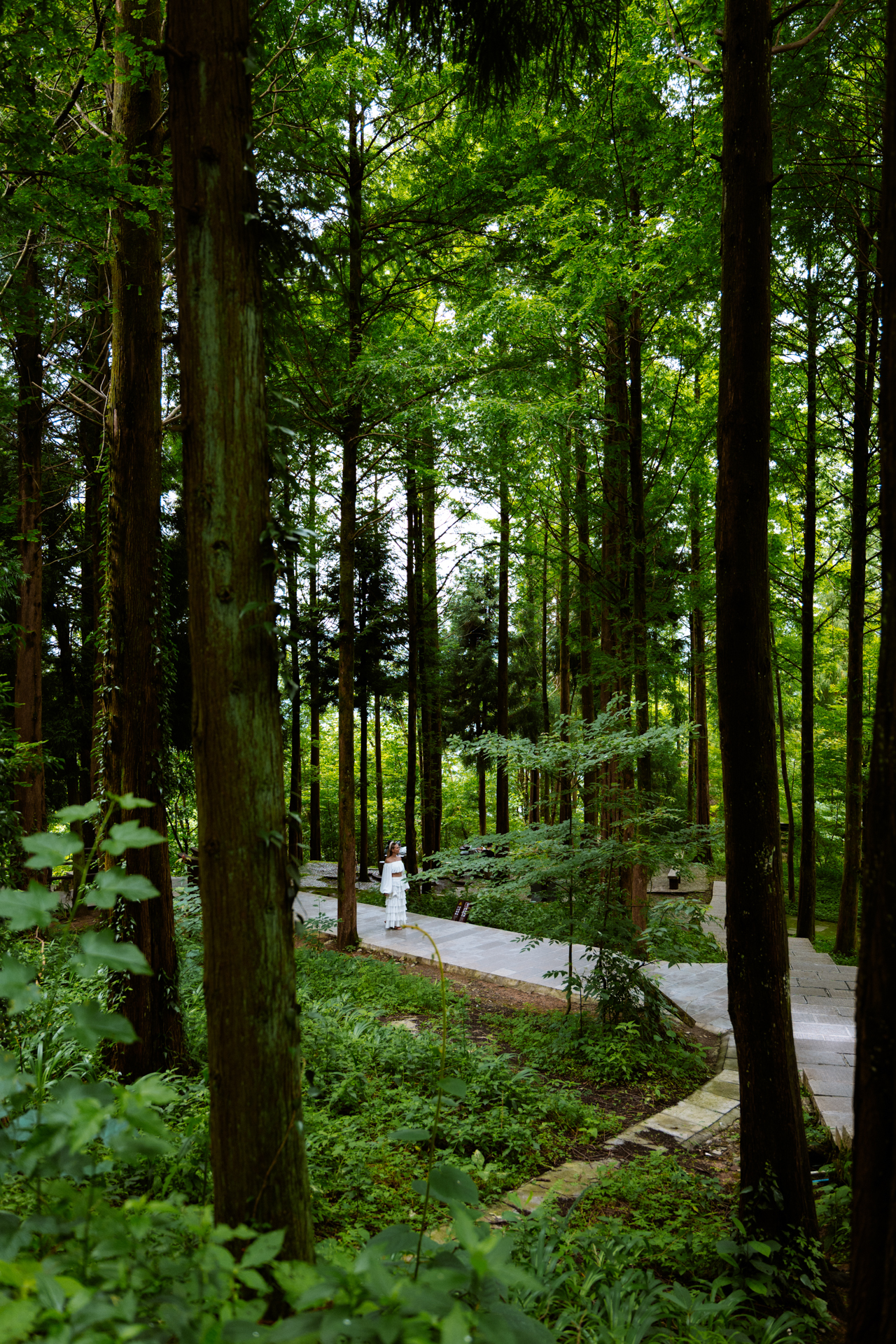 Woman walking through a lush forest trail in Zhangjiajie National Forest Park, China.